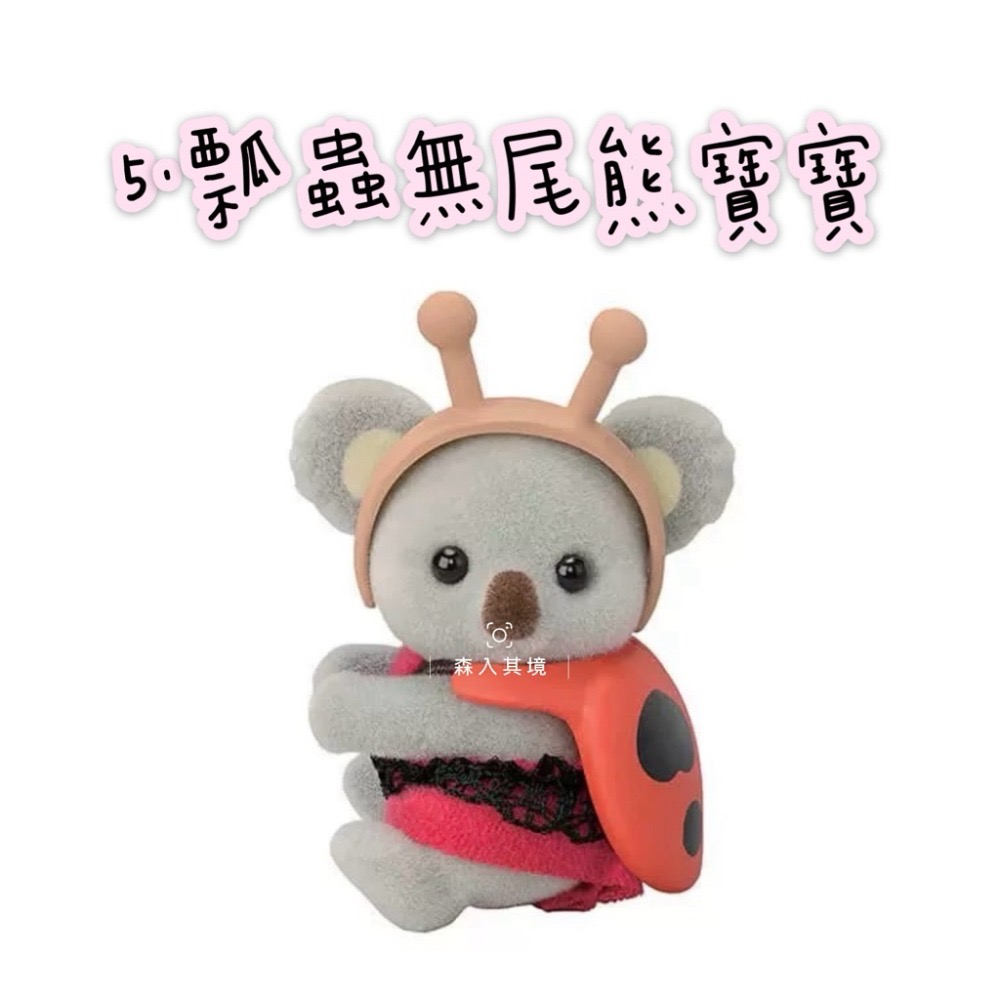 5.瓢蟲無尾熊寶寶