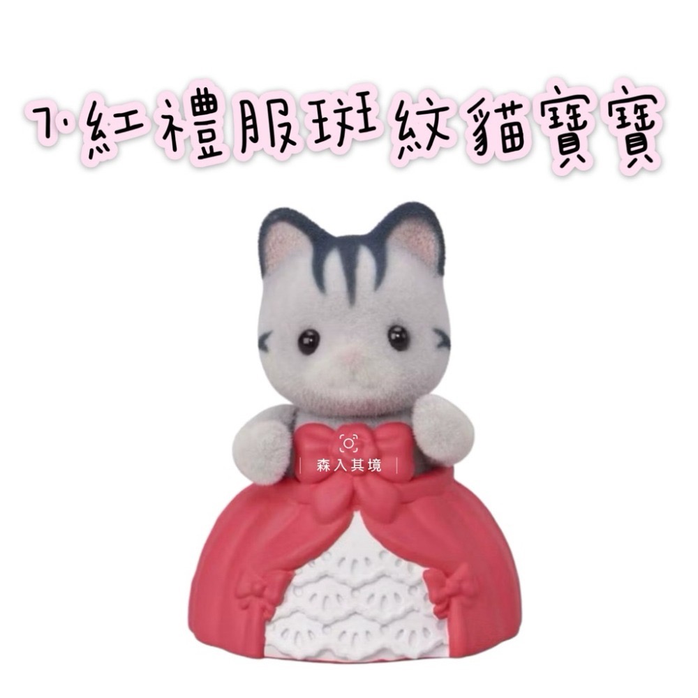 7.紅禮服斑紋貓寶寶