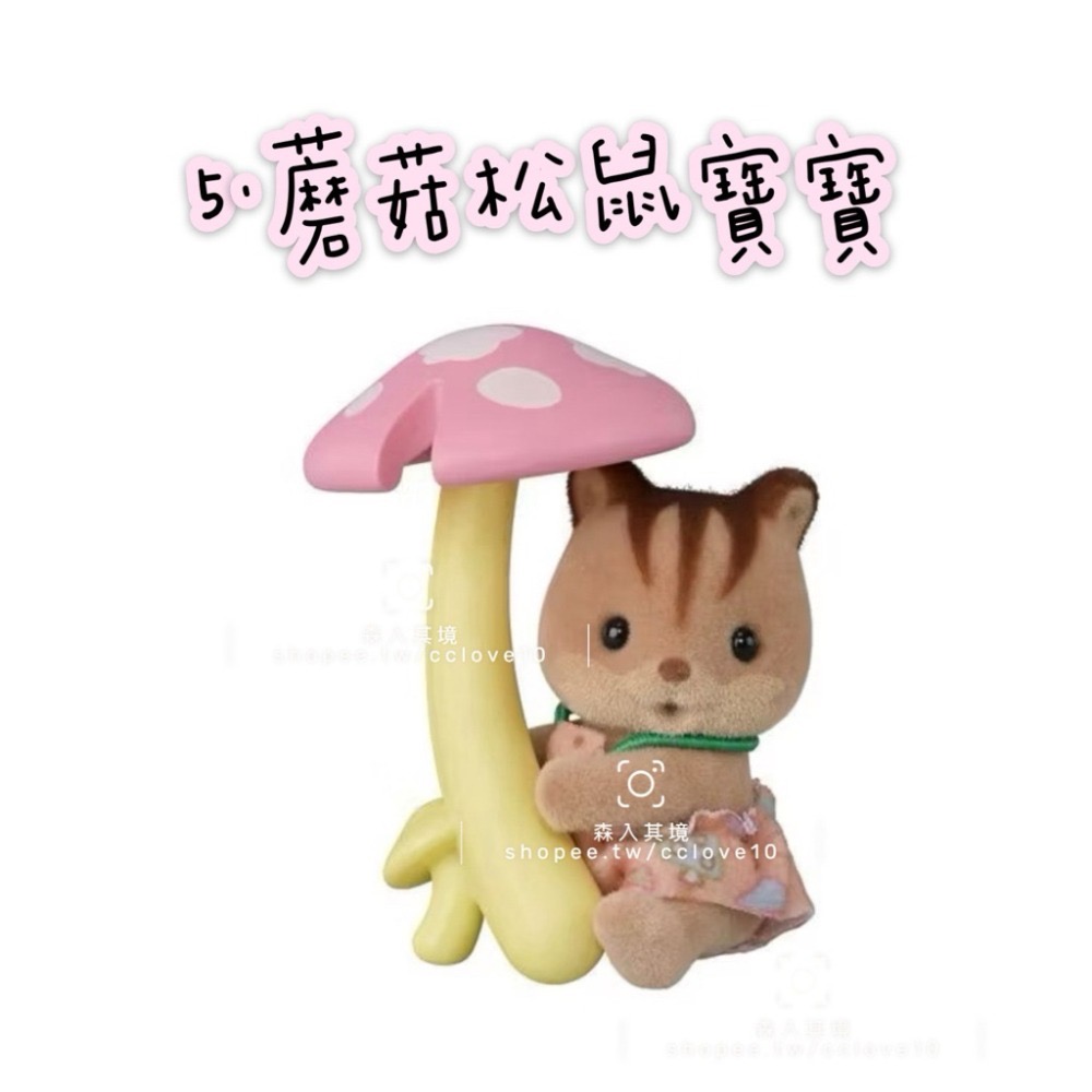 5.蘑菇松鼠寶寶