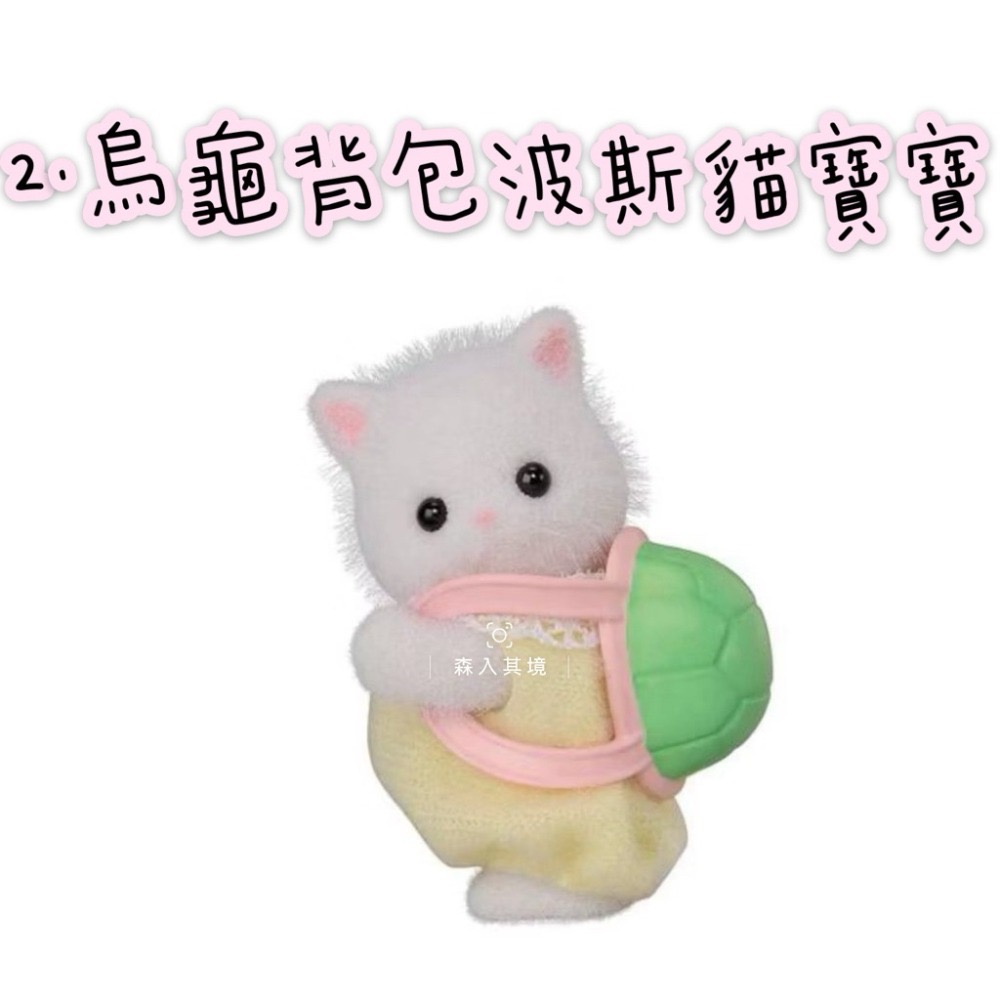 2.烏龜背包波斯貓寶寶