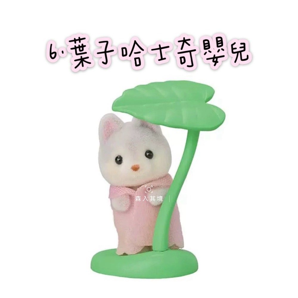 6.葉子哈士奇嬰兒