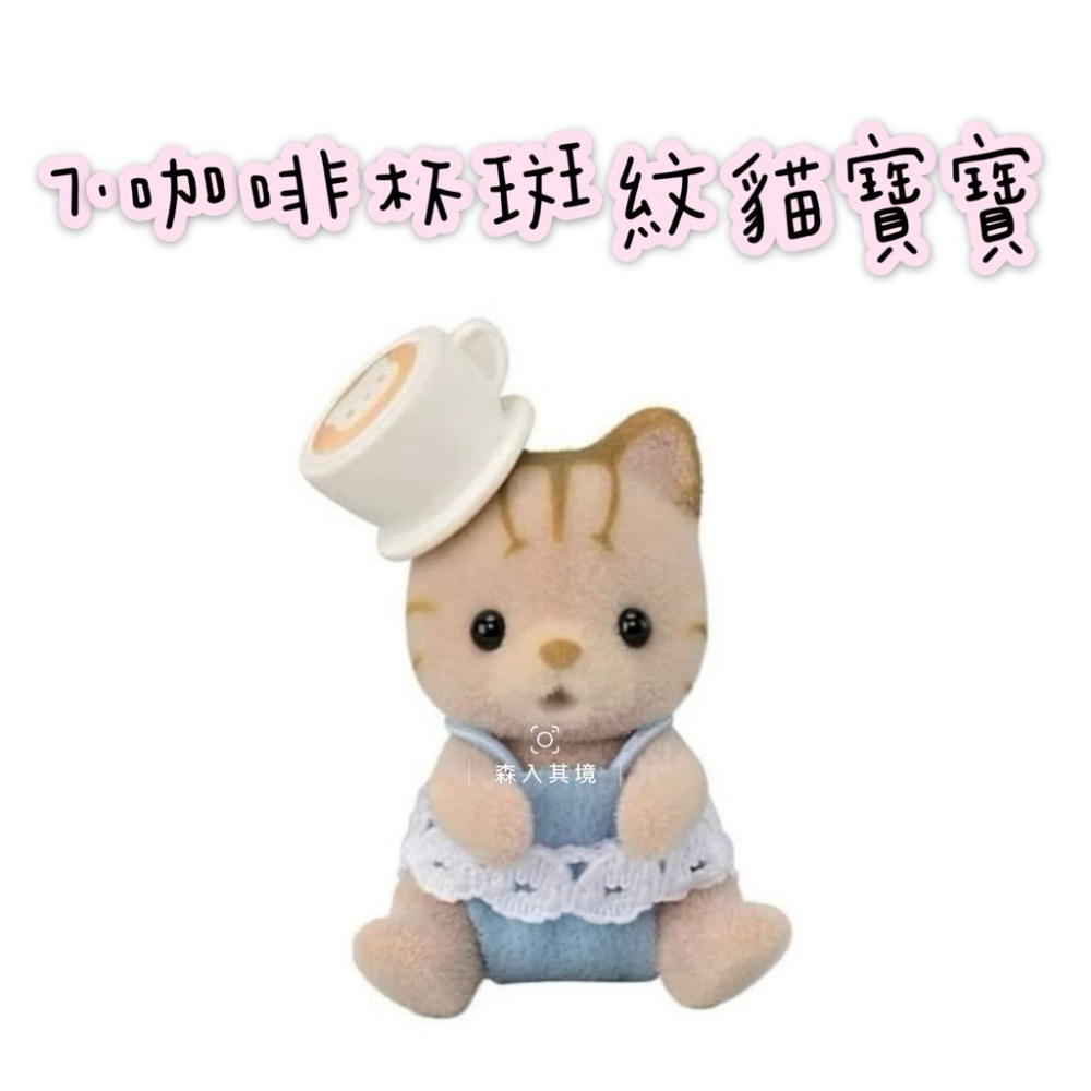 7.咖啡杯斑紋貓寶寶