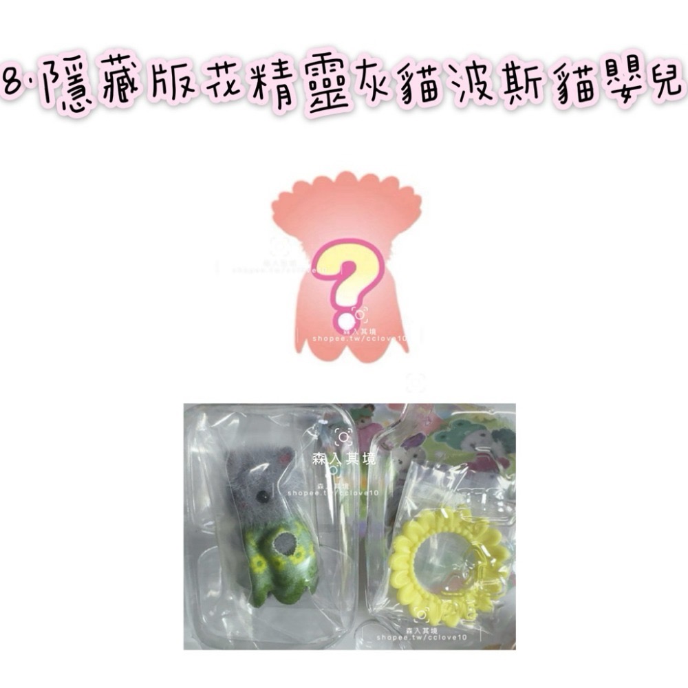 8.隱藏版花精靈灰貓波斯貓嬰兒