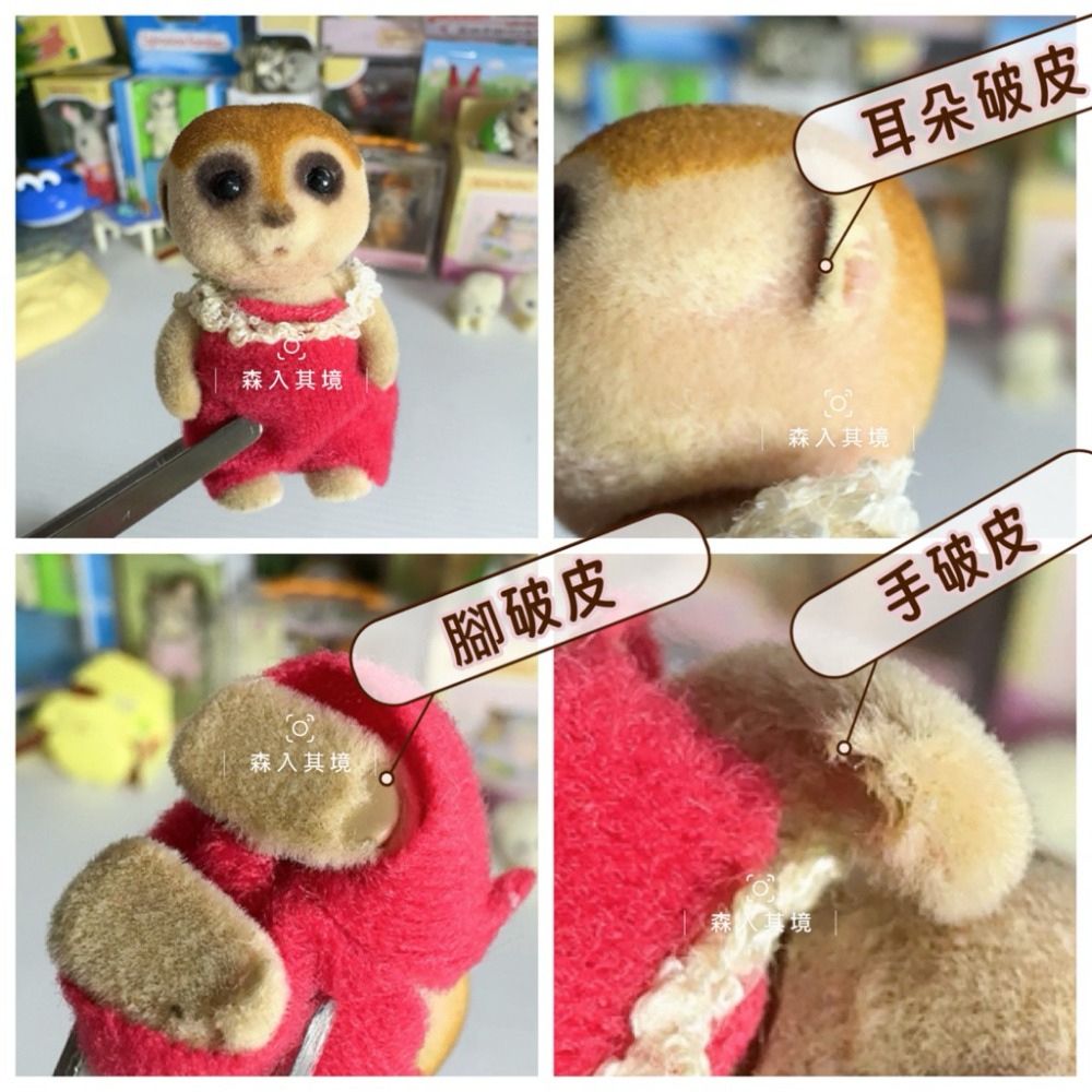 森林家族 絕版 狐獴 妖精 精靈 海狸 人魚 松鼠 綿羊 折耳兔 精靈樹屋 睡寶 蘑菇 垂耳兔 城市鼠 栗子鼠 寶寶-規格圖3