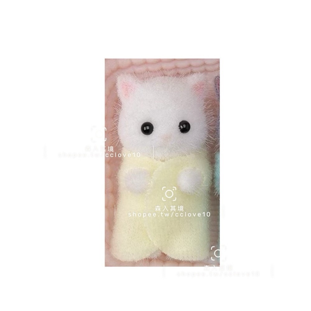 波斯貓嬰兒-綠衣