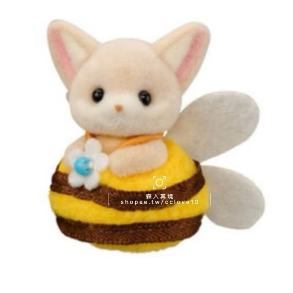 耳廓狐蜜蜂嬰兒