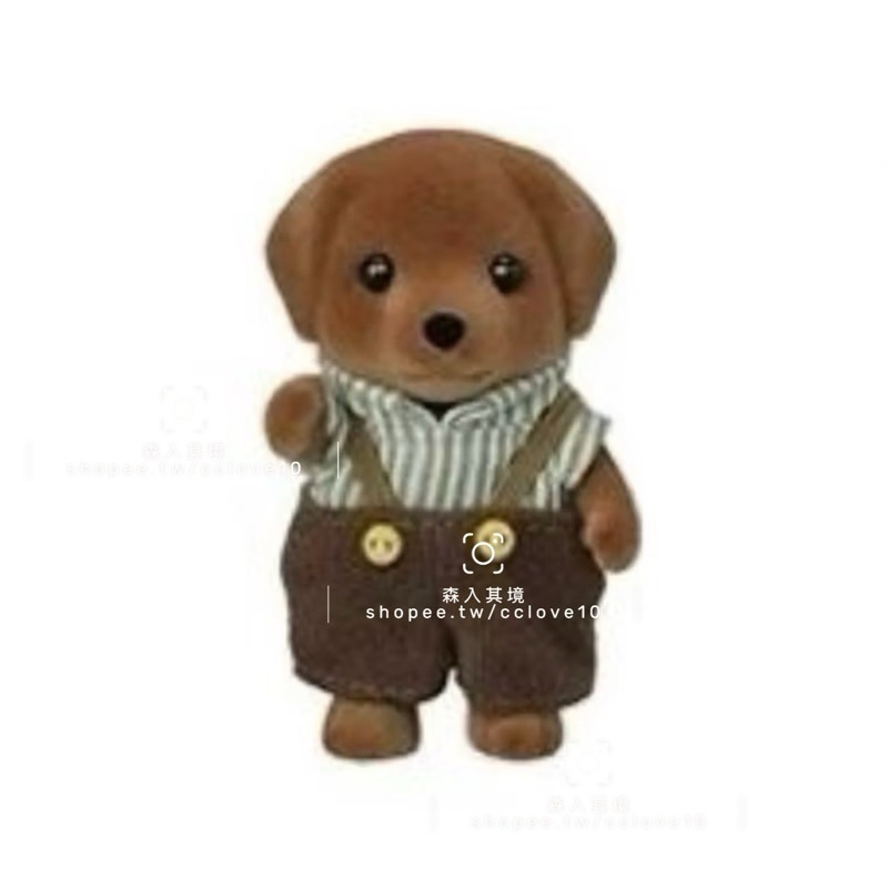 巧克力拉布拉多弟弟