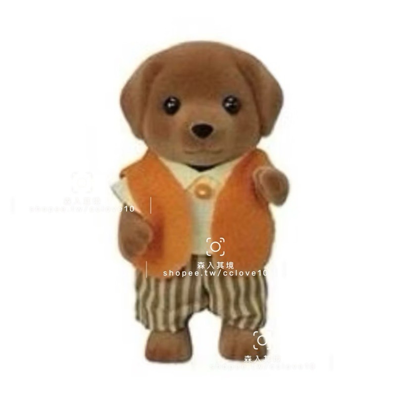 巧克力拉布拉多爸爸