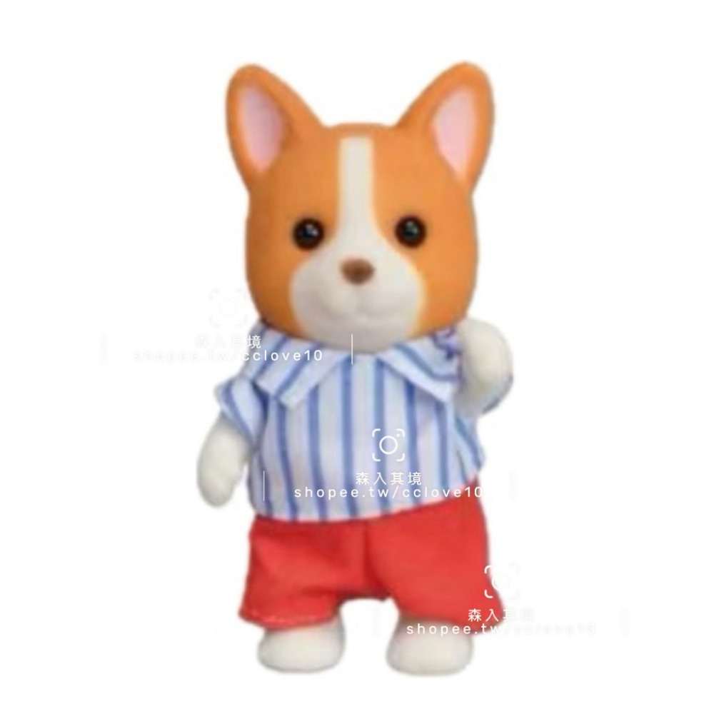 森林家族 拆售 科基 棉花糖鼠 花園兔 垂耳兔庭園照顧組 柑橘鳥家族 斑點狗家族 乳牛家族 水瀨 倉鼠 家庭 寶寶-規格圖7