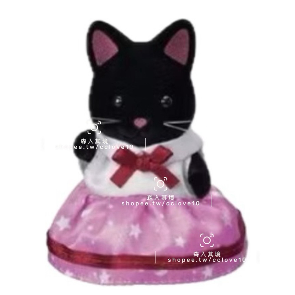 星空貓家族-姐姐