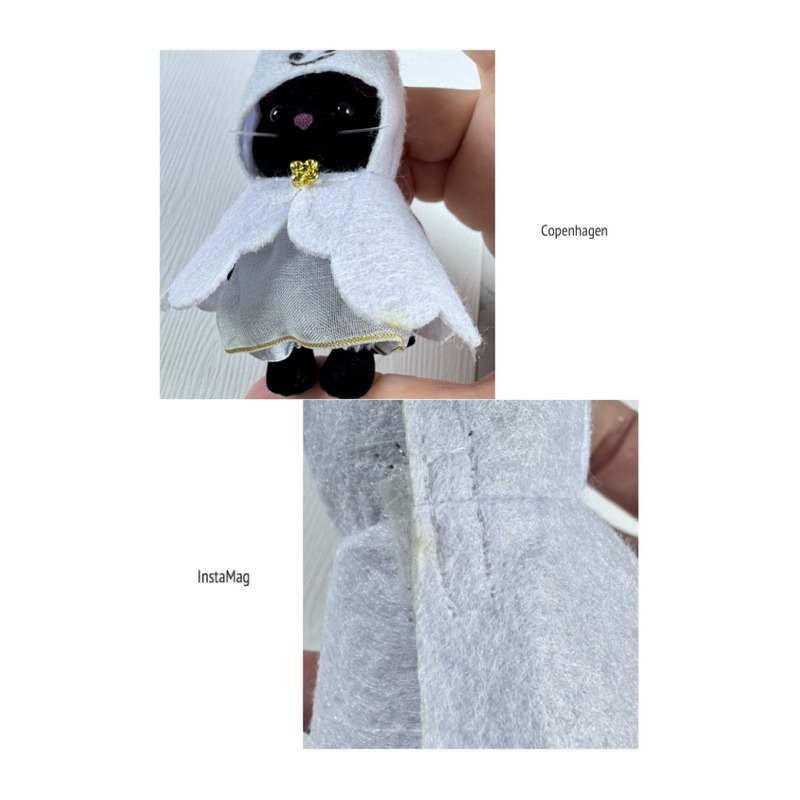 幽靈裝黑貓（非嬰兒、寶寶）