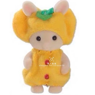 正品拆售 森林家族~蔬菜寶寶 冰淇淋寶寶 甜筒寶寶 白兔小鳥寶寶 黃熊白貓寶寶 貴賓狗寶寶 站寶 裝扮寶寶-規格圖7