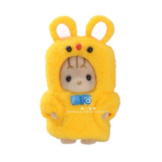 黃熊斑紋貓寶寶