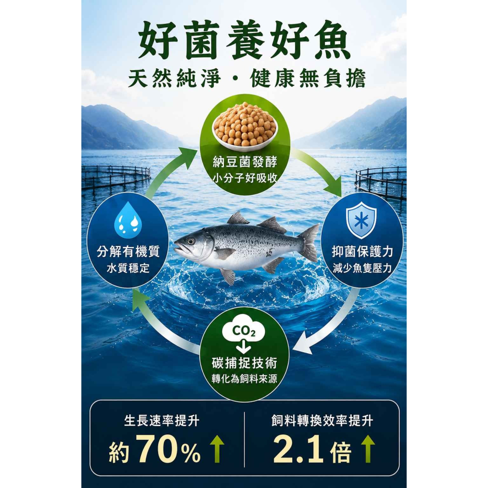 納豆菌深海金目鱸魚片-細節圖6