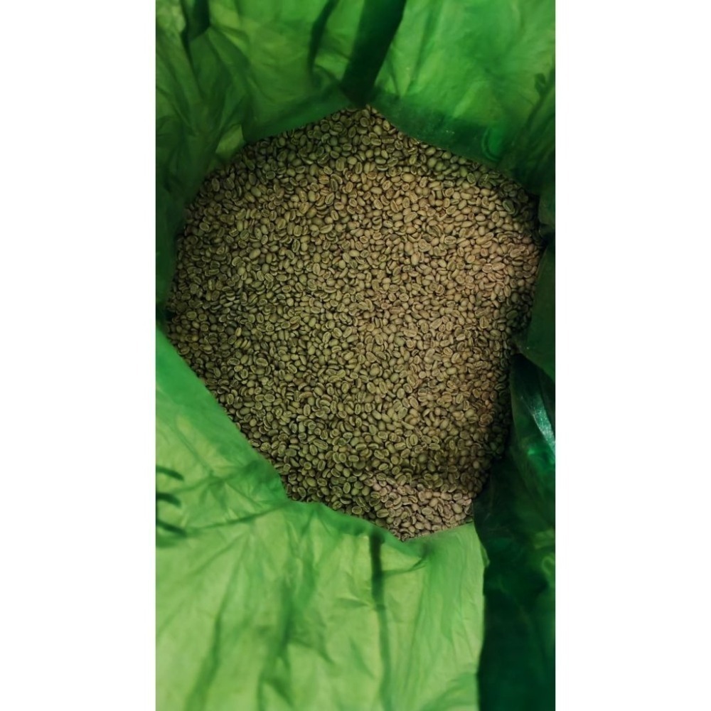 衣索比亞 古吉 水風鈴 水洗 G1 25/03批次 生豆 1kg-細節圖3