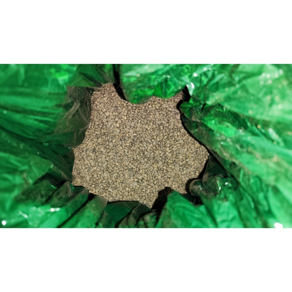 衣索比亞 古吉 水風鈴 水洗 G1 25/03批次 生豆 1kg-規格圖3