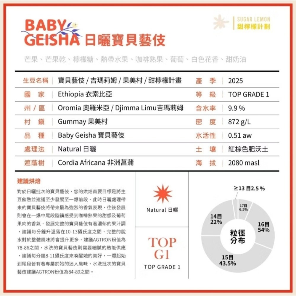 衣索比亞 吉瑪利姆 日曬 寶貝藝伎 生豆1kg裝-細節圖2