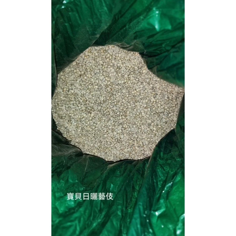 衣索比亞 吉瑪利姆 日曬 寶貝藝伎 生豆1kg裝-細節圖4