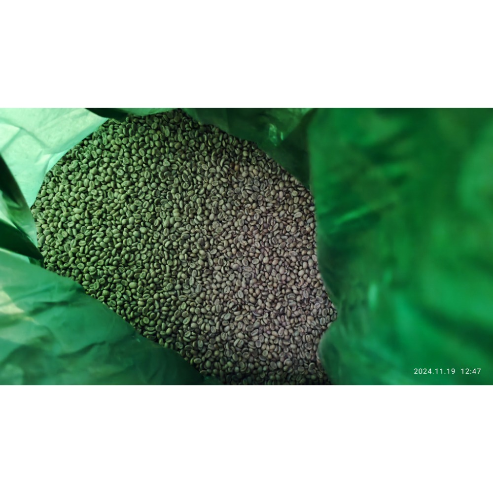 衣索比亞 吉瑪利姆 日曬 寶貝藝伎 生豆1kg裝-規格圖4