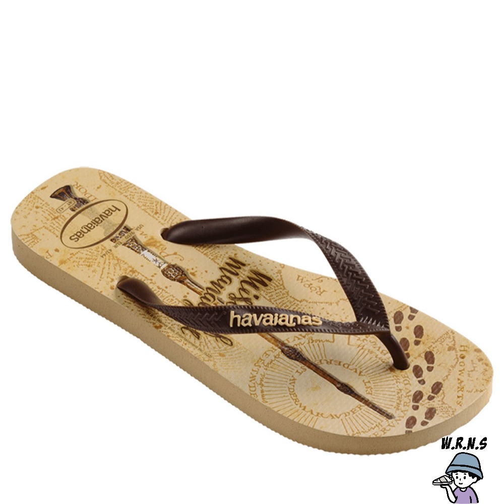 Havaianas 哈瓦仕 男鞋 女鞋 拖鞋 夾腳拖 哈利波特 劫盜地圖 卡其 4141763-0570U-細節圖3