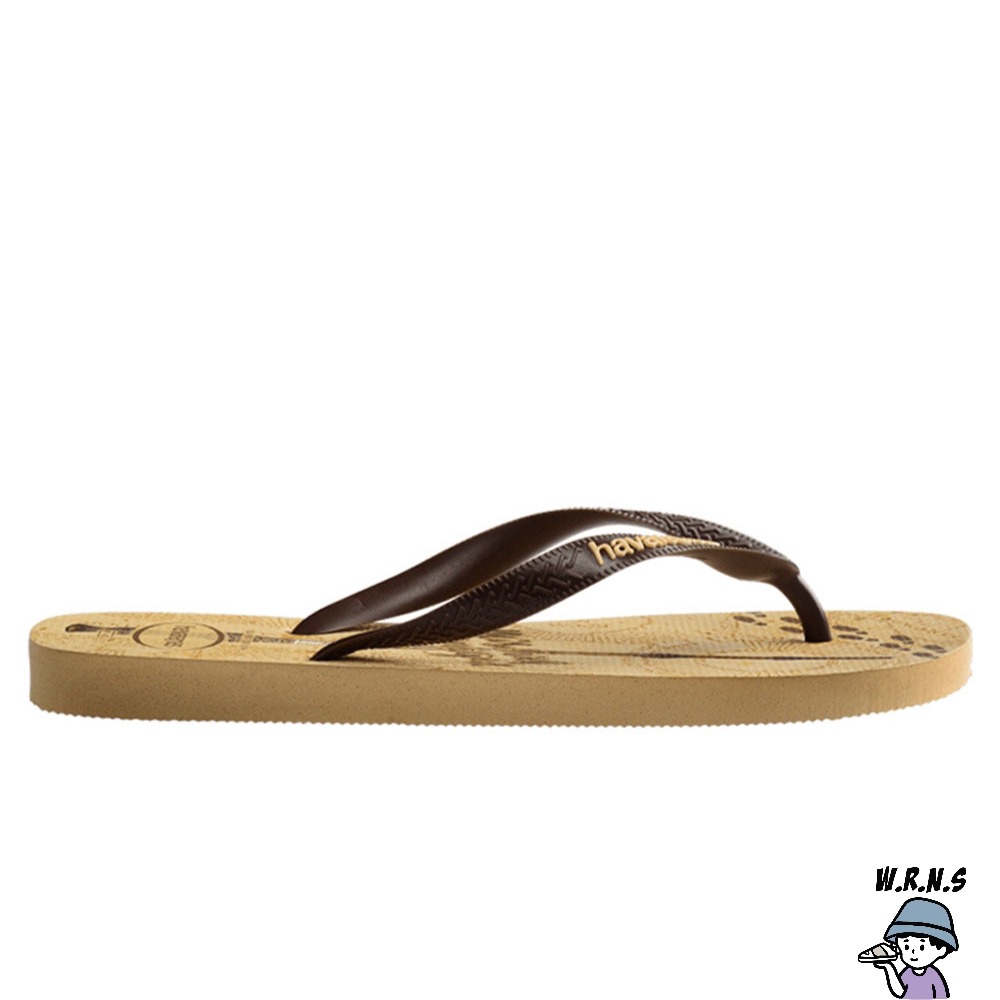 Havaianas 哈瓦仕 男鞋 女鞋 拖鞋 夾腳拖 哈利波特 劫盜地圖 卡其 4141763-0570U-細節圖4