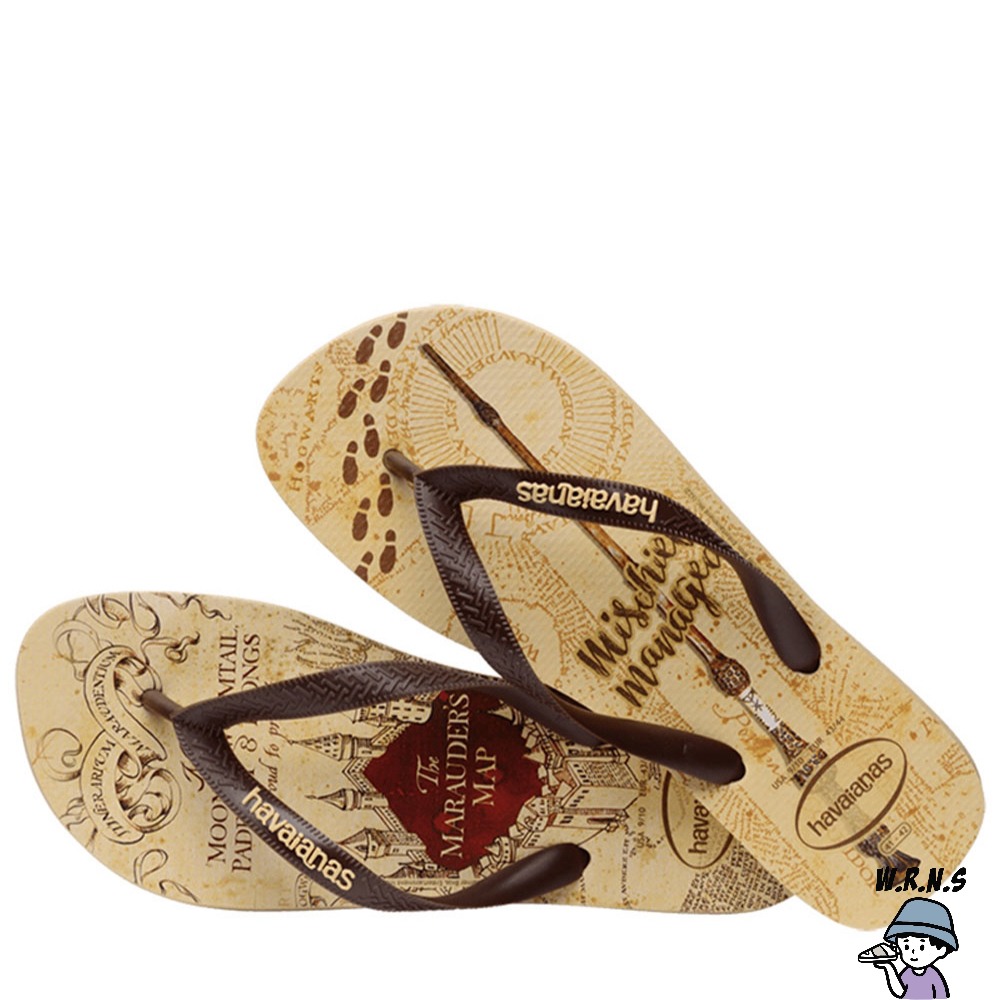 Havaianas 哈瓦仕 男鞋 女鞋 拖鞋 夾腳拖 哈利波特 劫盜地圖 卡其 4141763-0570U-細節圖5