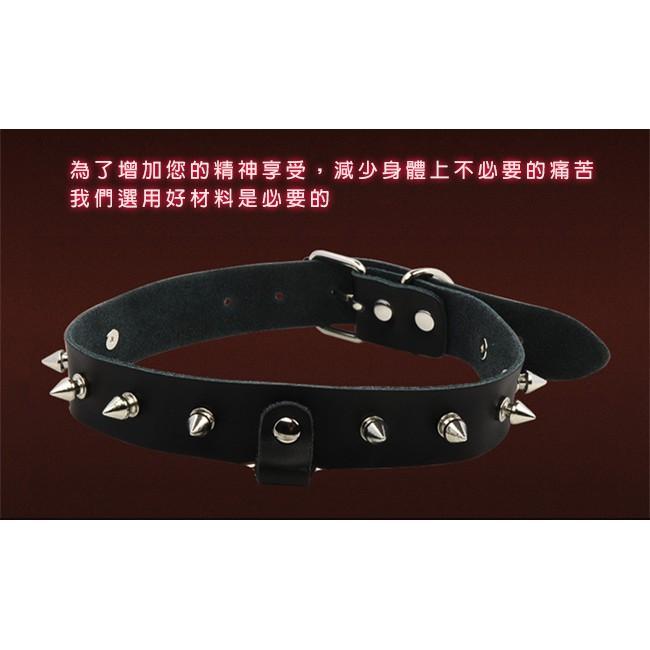 鉚釘皮革項圈+金屬鏈條+花型乳貼 SM組合｜情趣用品 性虐待 SM道具 SM用品 SM配件 SM服飾 SM套裝-細節圖3