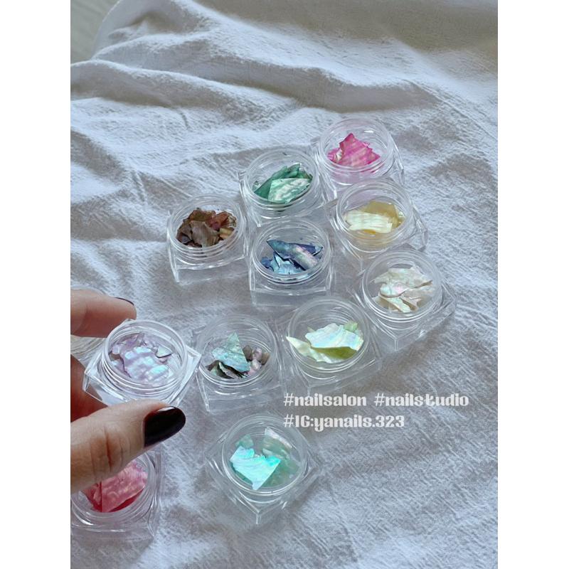 （現貨）貝殼片/光澤感貝殼片/十二色組-細節圖2