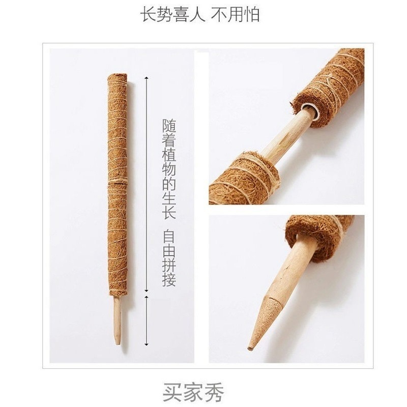 Bonjour Select買6送1！椰纖棒 串接 攀爬 爬藤架 爬藤支架 植物爬藤架 龜背芋 蔓綠絨 觀葉-細節圖4