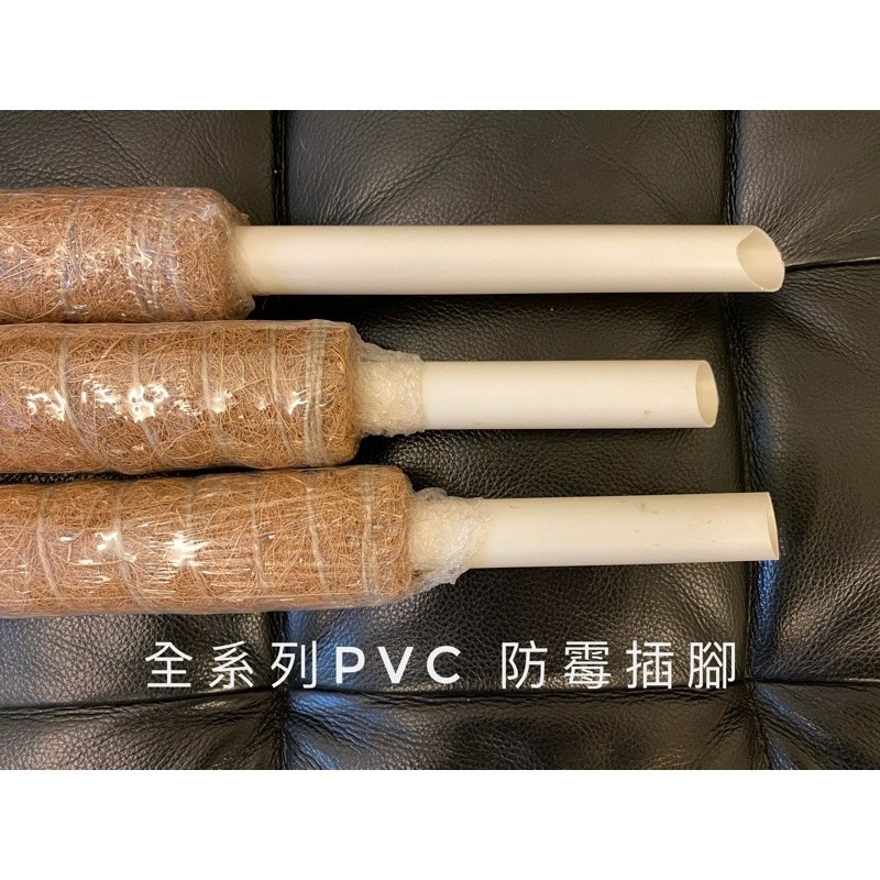 Bonjour Select買6送1！椰纖棒 串接 攀爬 爬藤架 爬藤支架 植物爬藤架 龜背芋 蔓綠絨 觀葉-細節圖5