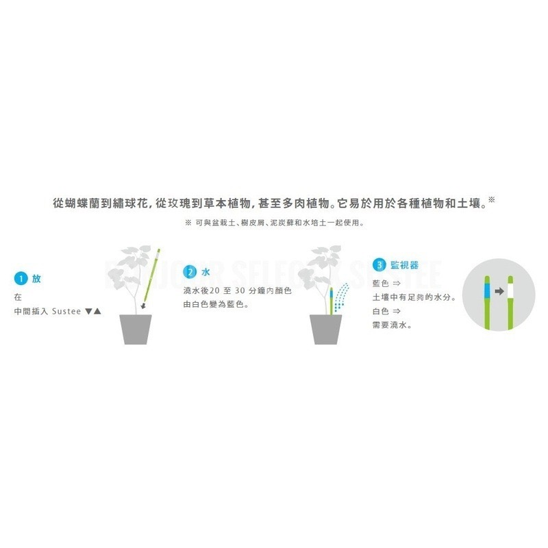 Bonjour Select sustee 土壤濕度計 植物水分計 水份檢測計 盆栽土壤水分監控計 象牙宮 象足漆樹-細節圖2