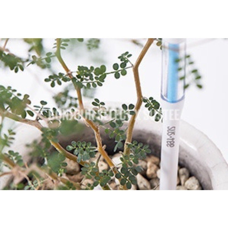 Bonjour Select sustee 土壤濕度計 植物水分計 水份檢測計 盆栽土壤水分監控計 象牙宮 象足漆樹-細節圖5
