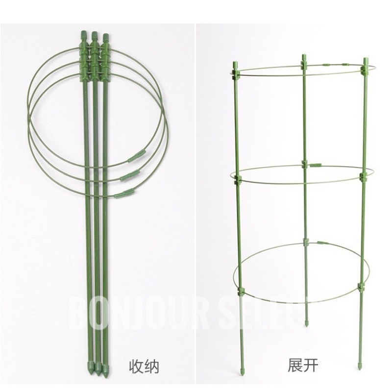 Bonjour Select 植物支架 爬藤架 支架桿 花架 支柱 園藝支架 植物架 龜甲龍 球型花架 山烏龜 陽台-細節圖2