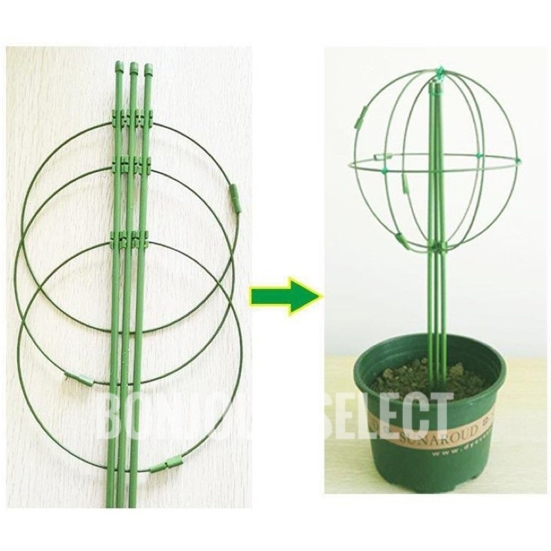 Bonjour Select 植物支架 爬藤架 支架桿 花架 支柱 園藝支架 植物架 龜甲龍 球型花架 山烏龜 陽台-細節圖3