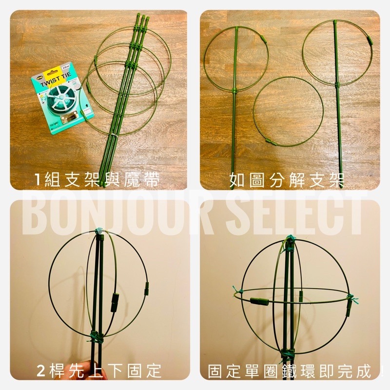 Bonjour Select 植物支架 爬藤架 支架桿 花架 支柱 園藝支架 植物架 龜甲龍 球型花架 山烏龜 陽台-細節圖4