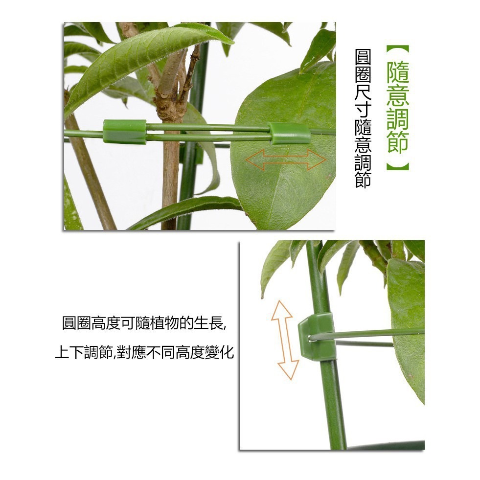 Bonjour Select 植物支架 爬藤架 支架桿 花架 支柱 園藝支架 植物架 龜甲龍 球型花架 山烏龜 陽台-細節圖5