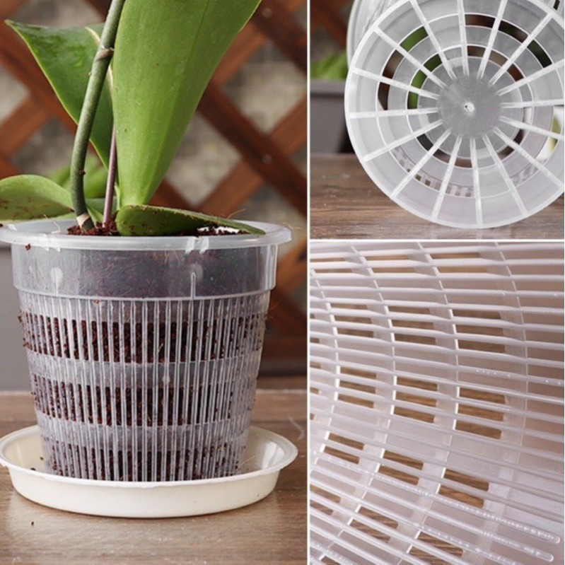 Bonjour Select買10送1!透氣花盆 防爛根 控根盆 青山盆 蘭花 象牙宮 龜甲龍 發根 妖炎 龍舌蘭-細節圖2