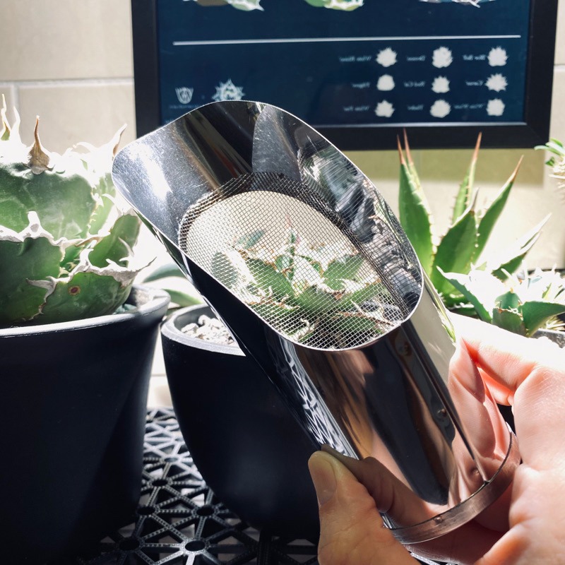 Bonjour Select 園藝工具 篩鏟 不鏽鋼 土鏟 篩土勺 多肉鏟 鏟土杯 過篩桶鏟 塊根 象牙宮 龍舌蘭-細節圖2