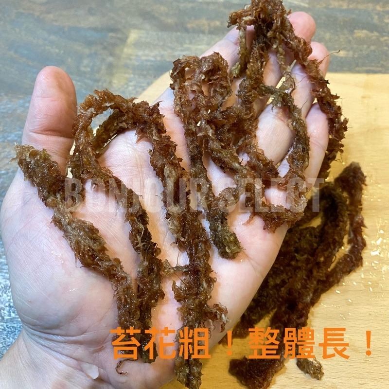 Bonjour Select 特選智利水苔 觀葉 鹿角厥 龜背芋 高壓繁殖 爬蟲類資材 組培 發根 山烏龜 象牙宮-細節圖3