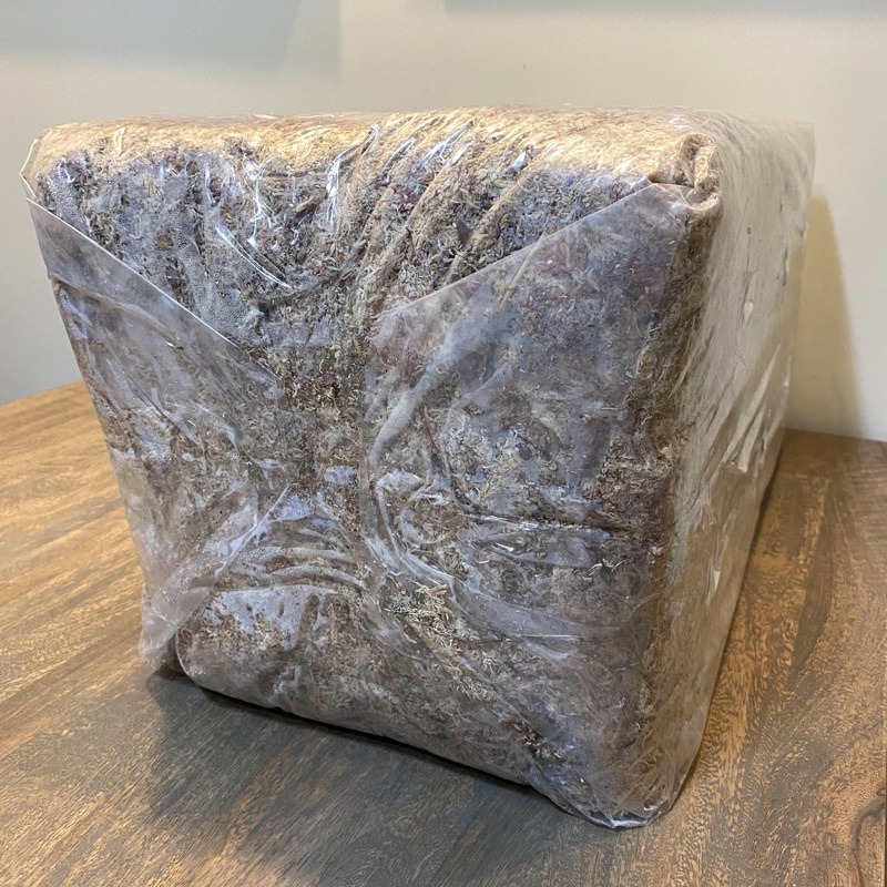 Bonjour Select 特選智利水苔 觀葉 鹿角厥 龜背芋 高壓繁殖 爬蟲類資材 組培 發根 山烏龜 象牙宮-細節圖5