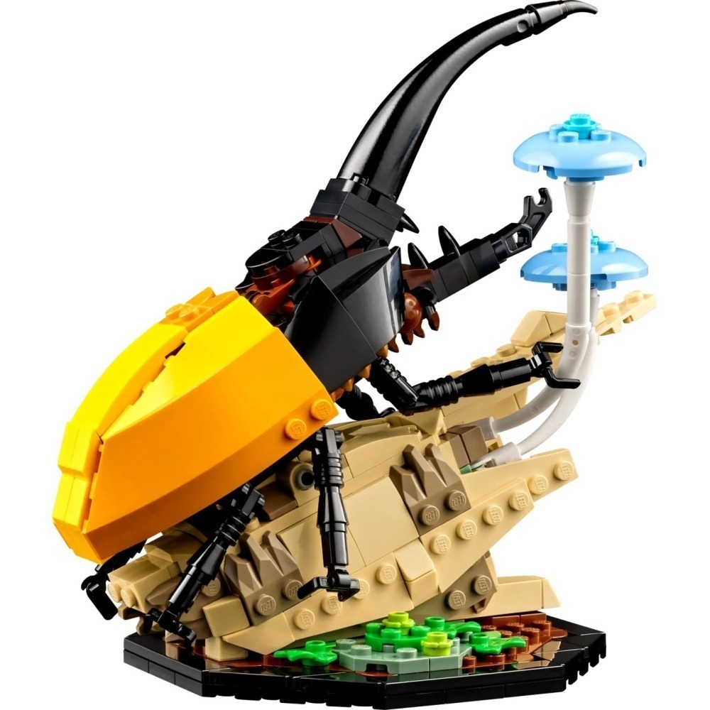 [ 必買站 ] LEGO 21342 昆蟲集錦 The Insect Collection idea系列-細節圖4