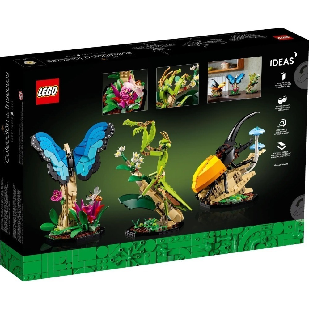 [ 必買站 ] LEGO 21342 昆蟲集錦 The Insect Collection idea系列 (不挑盒況)-細節圖2