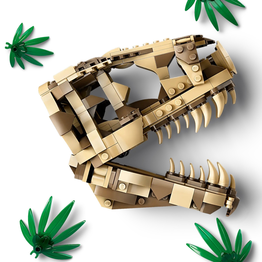 [ 必買站 ] LEGO 76964 恐龍化石：霸王龍頭骨 侏儸紀 系列-細節圖4