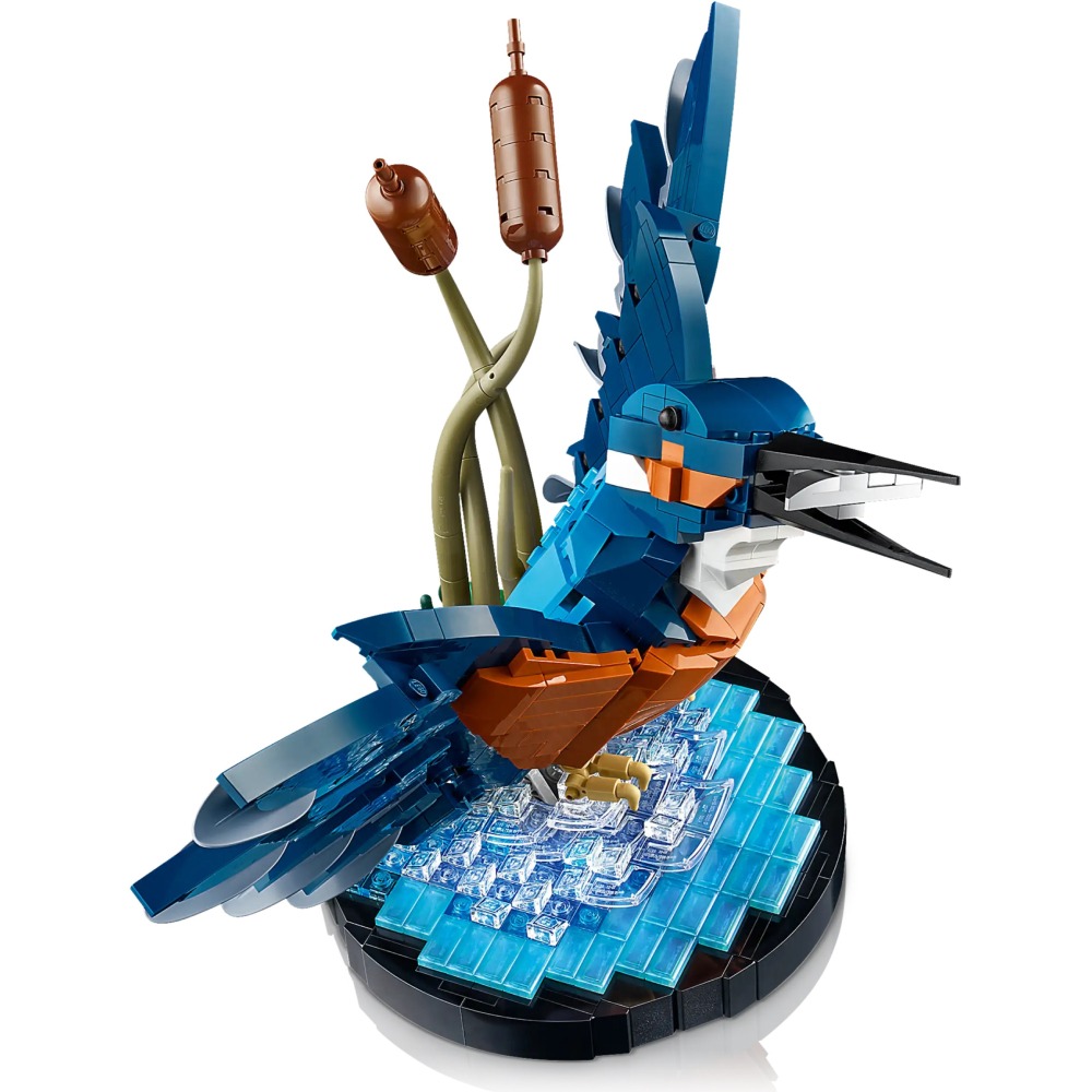 [ 必買站 ]  LEGO 10331 翠鳥 Kingfisher Bird  Icons 系列-細節圖4