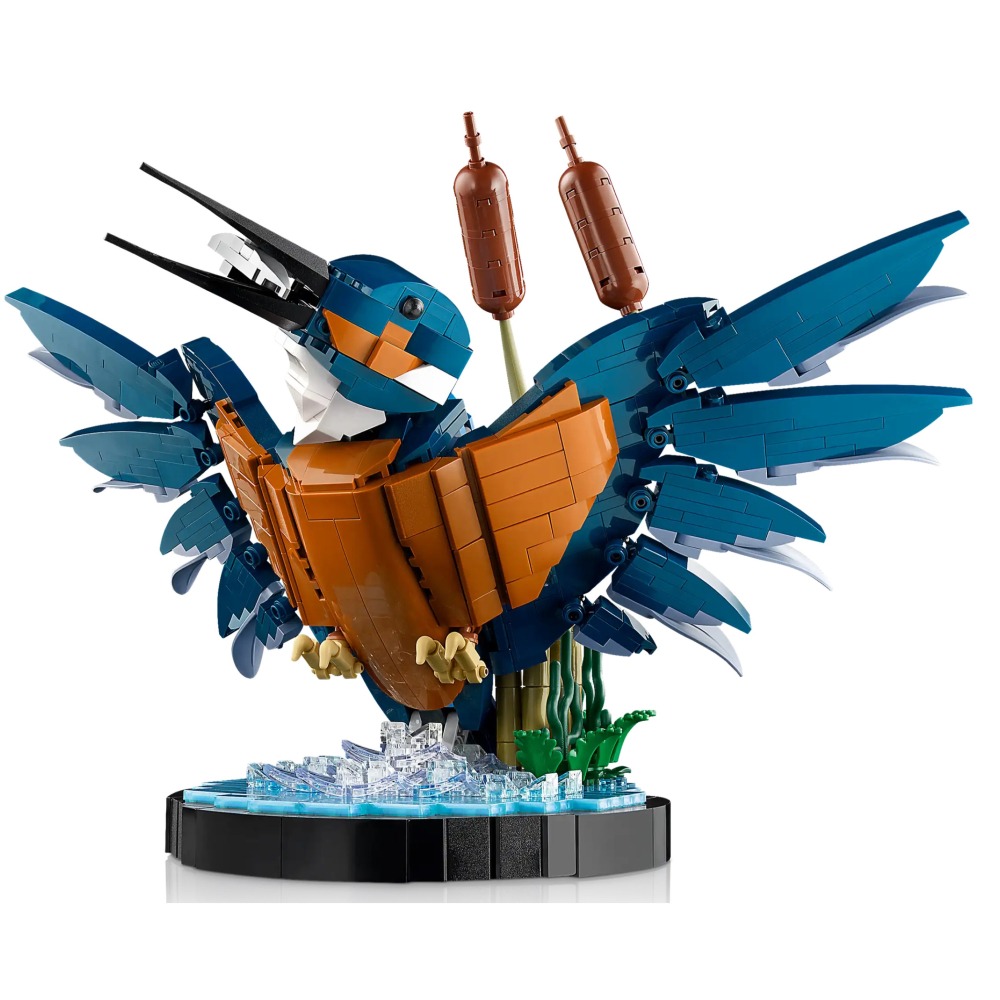 [ 必買站 ]  LEGO 10331 翠鳥 Kingfisher Bird  Icons 系列-細節圖5