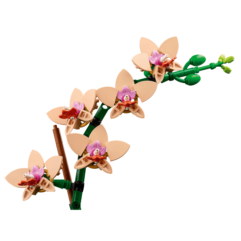 [ 必買站 ] LEGO 10343 迷你蘭花 Mini Orchid ICONS 系列-細節圖4