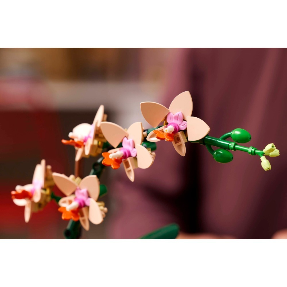 [ 必買站 ] LEGO 10343 迷你蘭花 Mini Orchid ICONS 系列-細節圖6