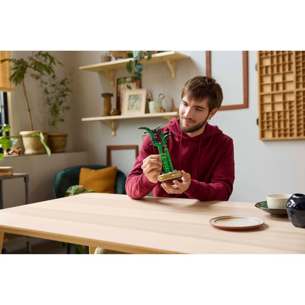 [ 必買站 ] LEGO 10344 開運竹 Lucky Bamboo ICONS 系列-細節圖7