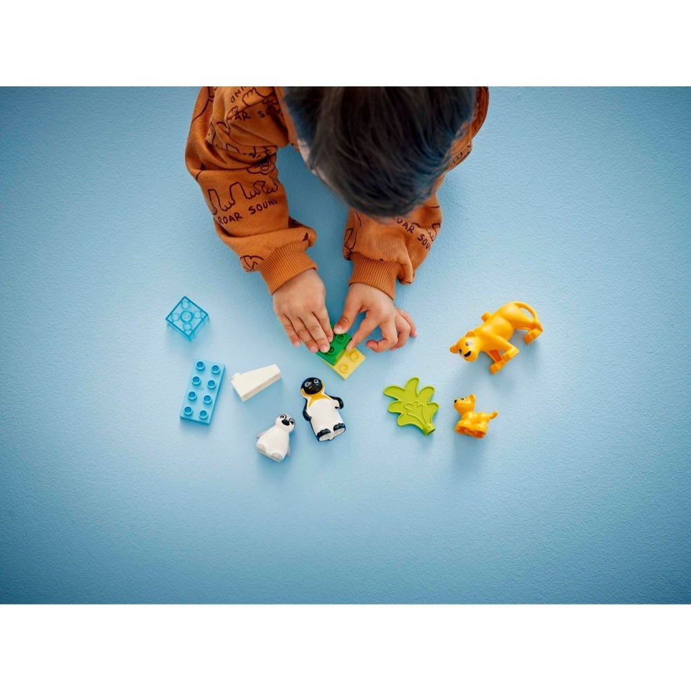 [ 必買站 ] LEGO 10442 野生動物家庭：企鵝和獅子 DUPLO 系列-細節圖7