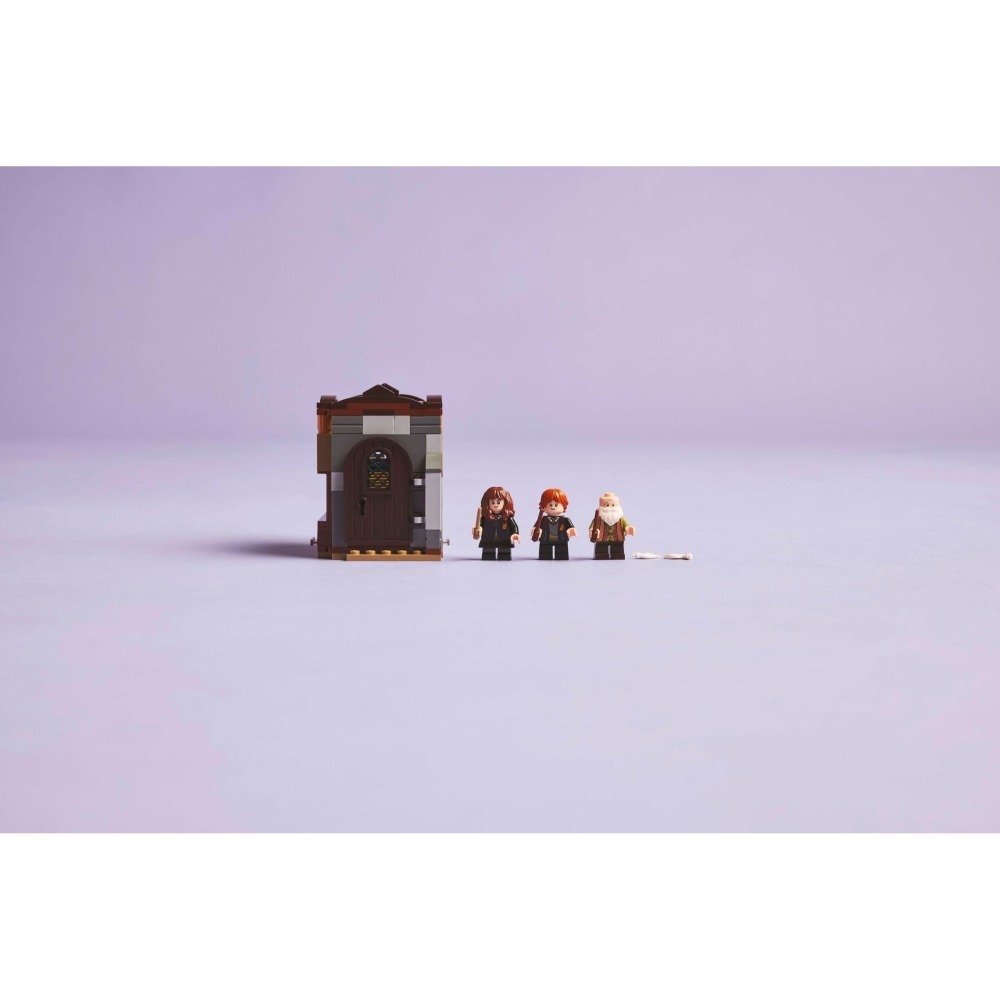 [ 必買站 ] LEGO 76442 魔咒課 HARRY POTTER 系列-細節圖9